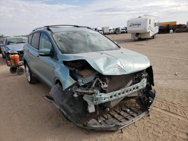 FORD ESCAPE 2013 with VIN 1FMCU0J93DUC70039 - Photo from auction