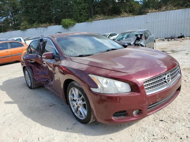 NISSAN MAXIMA S 2009 with VIN 1N4AA51E99C824296 - Photo from auction
