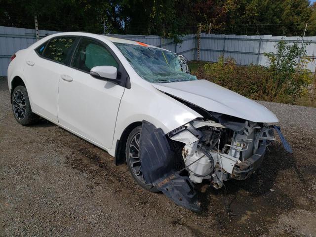 TOYOTA COROLLA L 2014 with VIN 2T1BURHEXEC164340 - Photo from auction