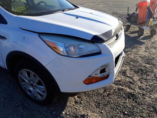 Photo 9 from auction – 2013 FORD ESCAPE S with VIN 1FMCU0F73DUD85666