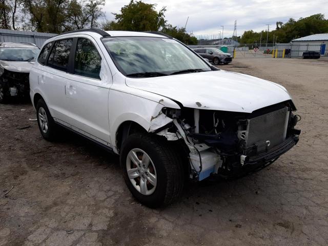HYUNDAI SANTA FE G 2009 with VIN 5NMSG73D59H296433 - Photo from auction
