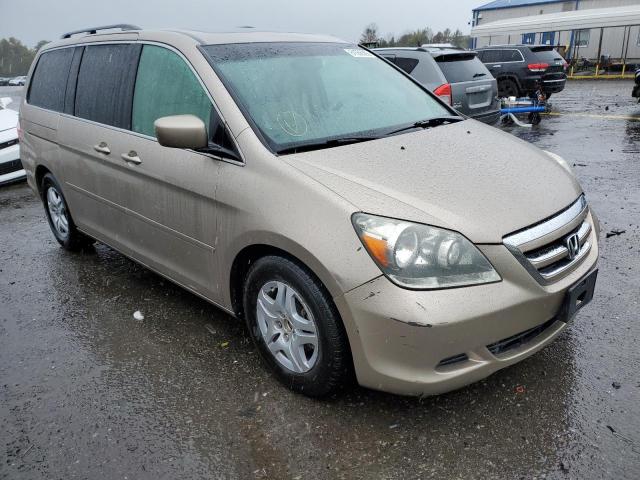 HONDA ODYSSEY EX 2007 with VIN 5FNRL38787B089832 - Photo from auction