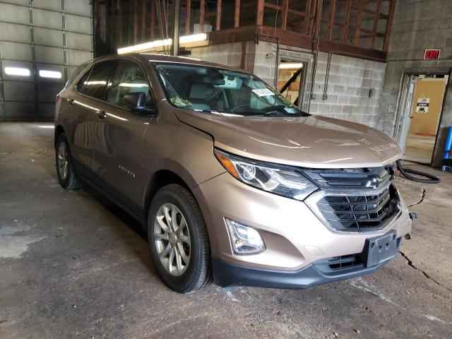 CHEVROLET EQUINOX LS 2019 with VIN 2GNAXSEV8K6152268 - Photo from auction