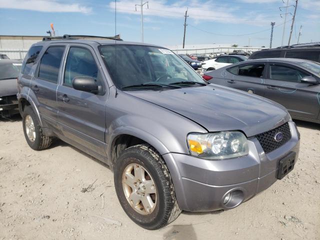 FORD ESCAPE XLT 2007 with VIN 1FMYU93147KA39572 - Photo from auction