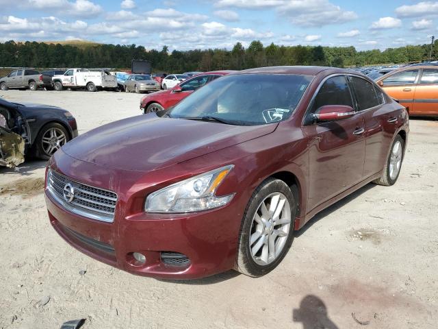 Photo 2 from auction – 2009 NISSAN MAXIMA S with VIN 1N4AA51E99C824296