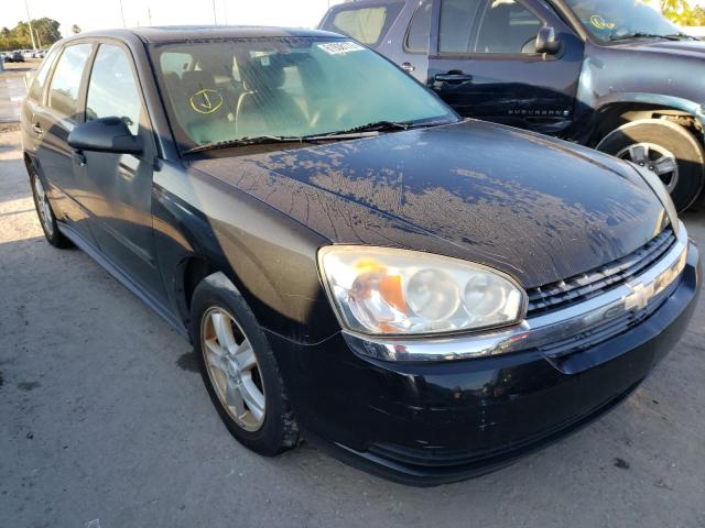 CHEVROLET MALIBU MAX 2004 with VIN 1G1ZT64864F169288 - Photo from auction