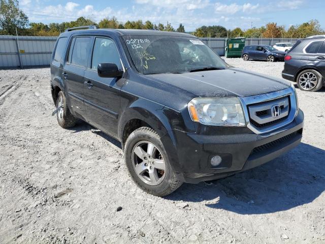 HONDA PILOT EXL 2011 with VIN 5FNYF4H53BB003519 - Photo from auction