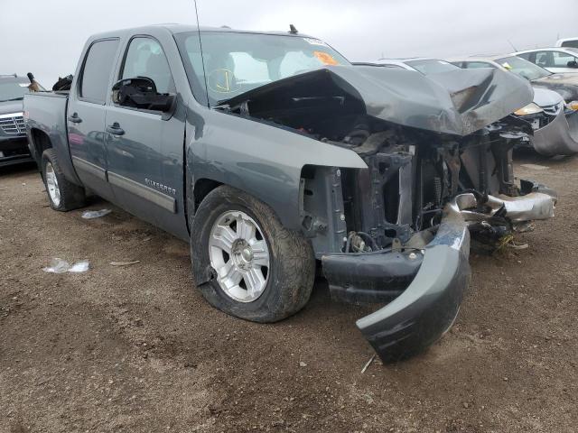 CHEVROLET SILVERADO 2011 with VIN 1GCPKSE31BF210081 - Photo from auction
