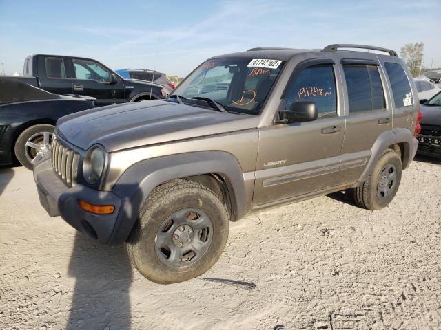 JEEP LIBERTY SP 2003 with VIN 1J4GL48K53W637058 - Photo from auction