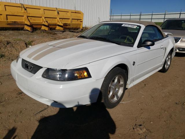 Photo 2 from auction – 2004 FORD MUSTANG with VIN 1FAFP44694F132842