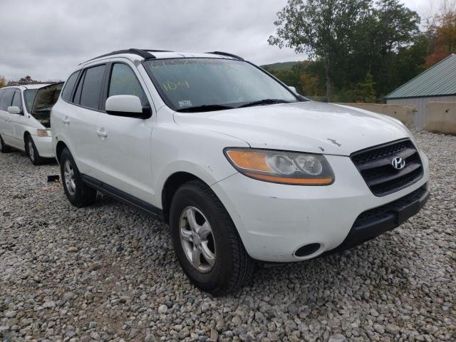HYUNDAI SANTA FE G 2008 with VIN 5NMSG73D58H173519 - Photo from auction
