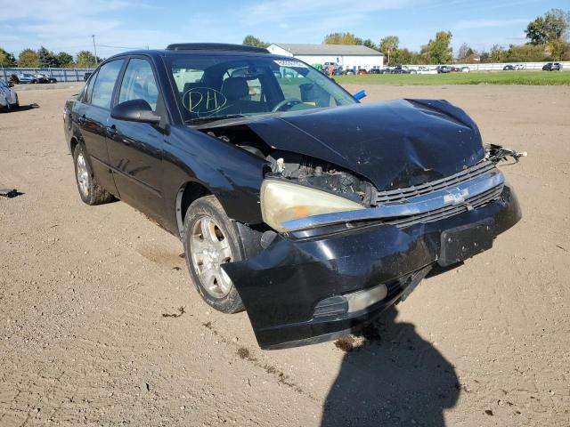 CHEVROLET MALIBU LT 2004 with VIN 1G1ZU548X4F206950 - Photo from auction