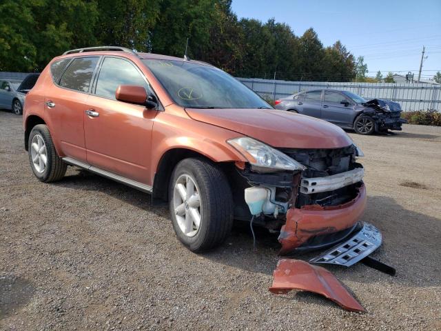 NISSAN MURANO SL 2003 with VIN JN8AZ08W53W219545 - Photo from auction