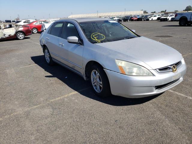 HONDA ACCORD EX 2007 with VIN 1HGCM56817A092771 - Photo from auction