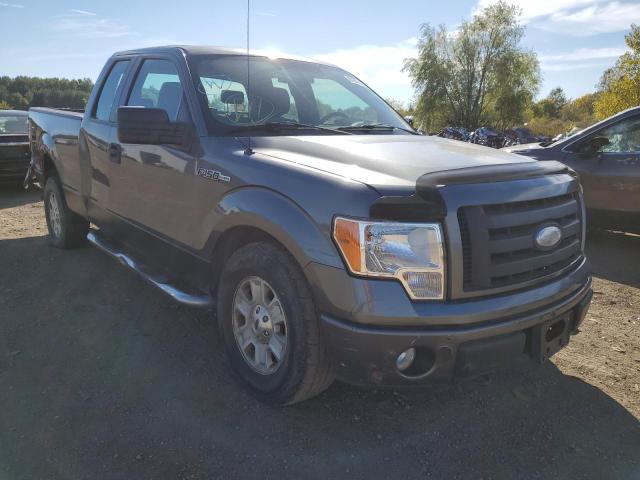 FORD F150 SUPER 2009 with VIN 1FTRX14WX9FA14067 - Photo from auction