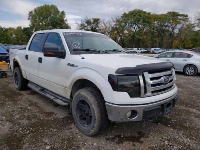 FORD F150 SUPER 2010 with VIN 1FTFW1EV4AKE01821 - Photo from auction