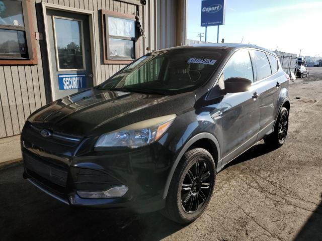 Photo 2 from auction – 2013 FORD ESCAPE SE with VIN 1FMCU9G90DUB01995