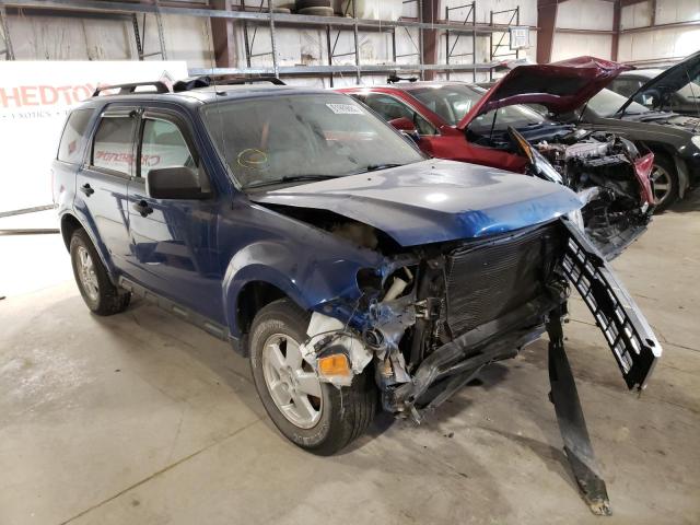 FORD ESCAPE XLT 2011 with VIN 1FMCU0DG9BKC47884 - Photo from auction
