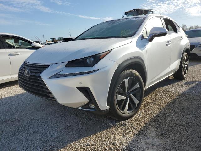 Photo 2 from auction – 2019 LEXUS NX 300 BAS with VIN JTJYARBZXK2154302