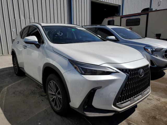 LEXUS NX 250 2022 with VIN JTJGDCAZ3N5000664 - Photo from auction