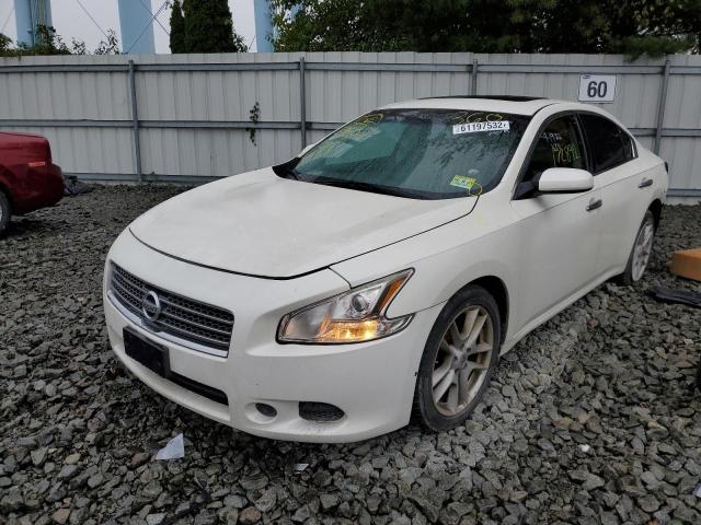 Photo 2 from auction – 2009 NISSAN MAXIMA S with VIN 1N4AA51E49C828014