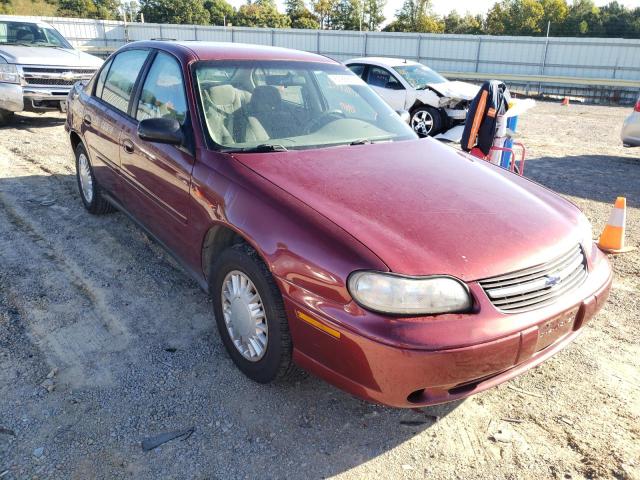 CHEVROLET MALIBU 2002 with VIN 1G1ND52J72M625500 - Photo from auction