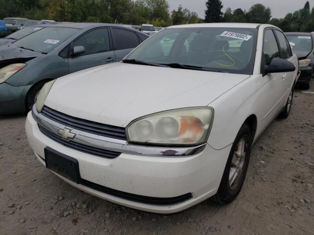 Photo 2 from auction – 2005 CHEVROLET MALIBU LS with VIN 1G1ZT52835F236606