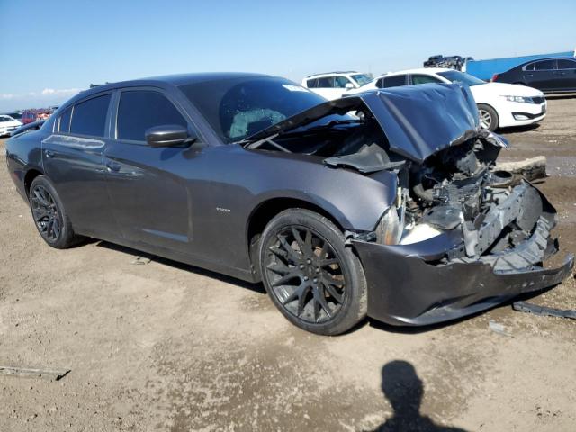DODGE CHARGER R/ 2014 with VIN 2C3CDXCT6EH146913 - Photo from auction