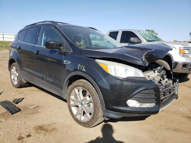 FORD ESCAPE SE 2013 with VIN 1FMCU0GX7DUA11446 - Photo from auction