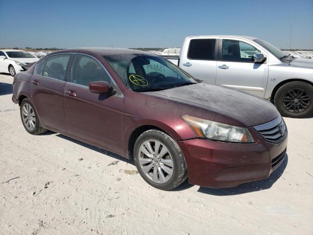 HONDA ACCORD EXL 2011 with VIN 1HGCP2F83BA059494 - Photo from auction