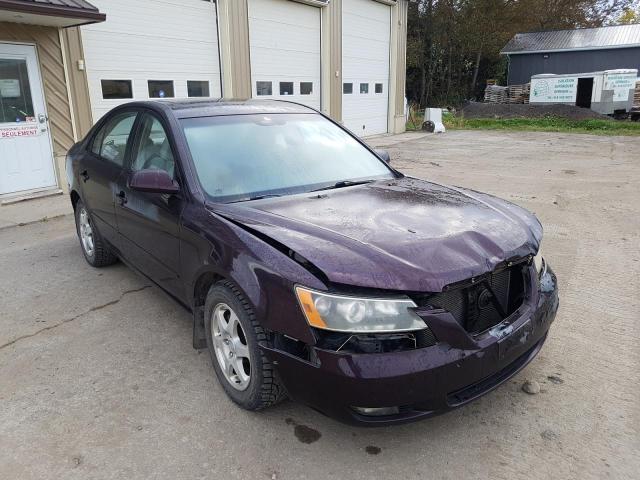 HYUNDAI SONATA GL 2006 with VIN KMHET46C96A161354 - Photo from auction