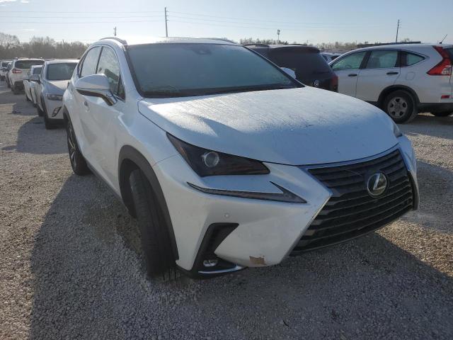 LEXUS NX 300 BAS 2019 with VIN JTJYARBZXK2154302 - Photo from auction