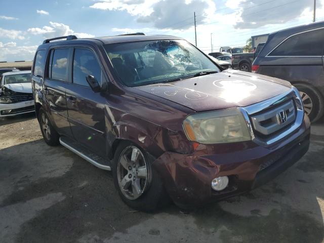 HONDA PILOT EXL 2009 with VIN 5FNYF38599B021575 - Photo from auction