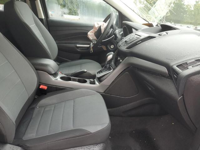 Photo 5 from auction – 2013 FORD ESCAPE SE with VIN 1FMCU9GX0DUD82923