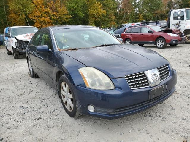 NISSAN MAXIMA SE 2006 with VIN 1N4BA41E16C823461 - Photo from auction