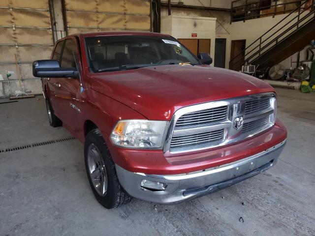 DODGE RAM 1500 2009 with VIN 1D3HB13T99S815508 - Photo from auction
