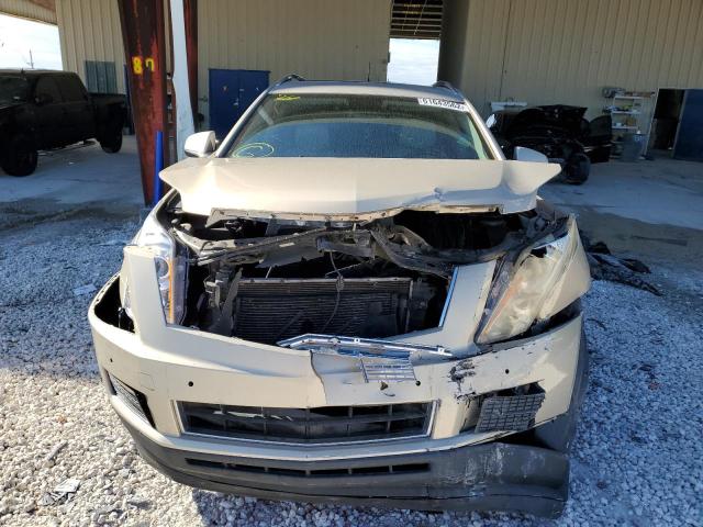 Photo 9 from auction – 2010 CADILLAC SRX LUXURY with VIN 3GYFNAEY3AS614092