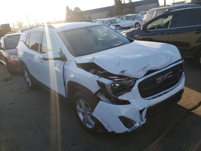 GMC TERRAIN SL 2019 with VIN 3GKALMEV3KL358341 - Photo from auction