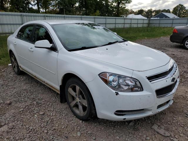 CHEVROLET MALIBU 1LT 2011 with VIN 1G1ZC5E11BF183706 - Photo from auction