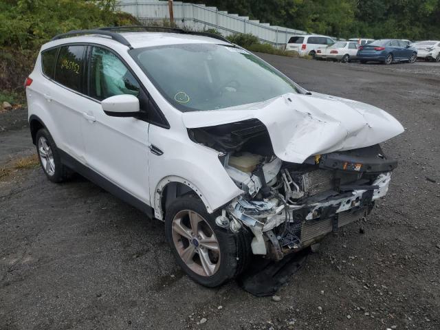 FORD ESCAPE SE 2013 with VIN 1FMCU9GX0DUD82923 - Photo from auction