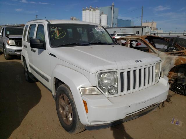 JEEP LIBERTY SP 2011 with VIN 1J4PN2GK9BW572178 - Photo from auction