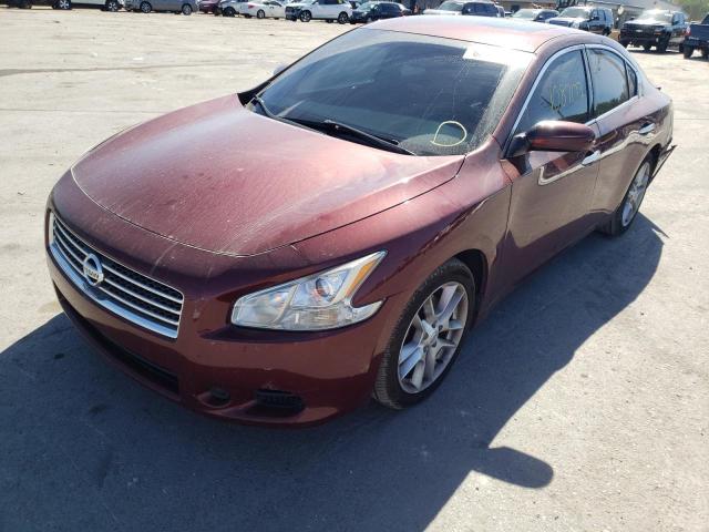 Photo 2 from auction – 2010 NISSAN MAXIMA S with VIN 1N4AA5AP8AC864343