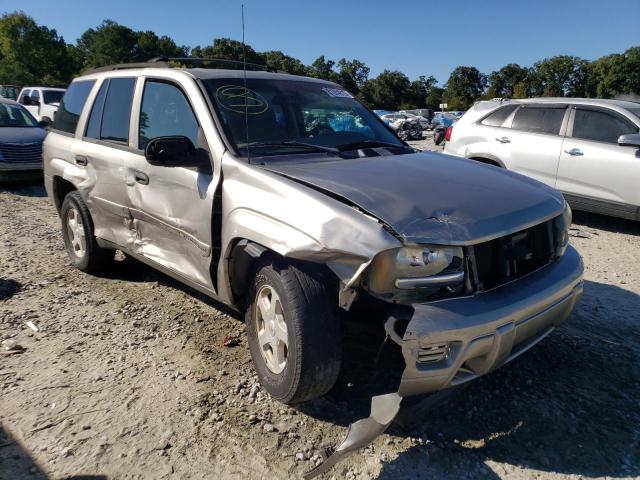 CHEVROLET TRAILBLAZE 2002 with VIN 1GNDS13S322428318 - Photo from auction