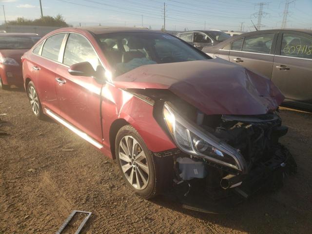 HYUNDAI SONATA SPO 2016 with VIN 5NPE34AF4GH376561 - Photo from auction