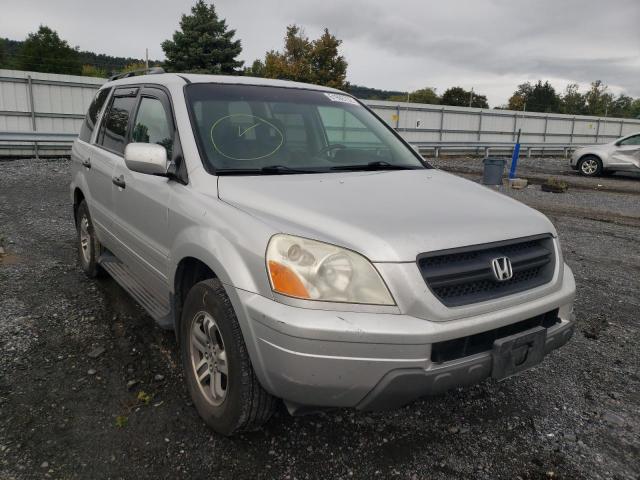 HONDA PILOT EXL 2005 with VIN 5FNYF18535B009162 - Photo from auction