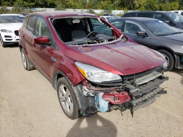 FORD ESCAPE SE 2014 with VIN 1FMCU0GX9EUC83434 - Photo from auction