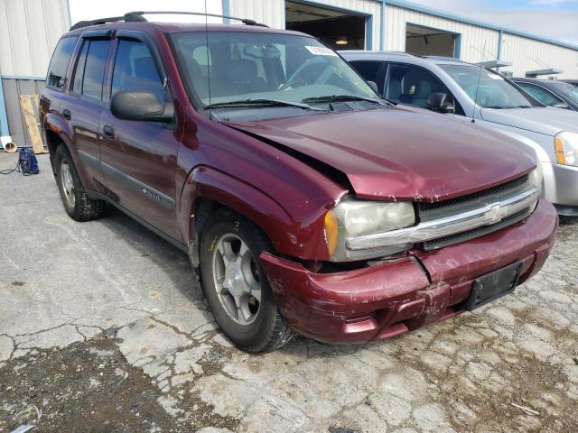 CHEVROLET TRAILBLAZE 2004 with VIN 1GNDT13S142390118 - Photo from auction