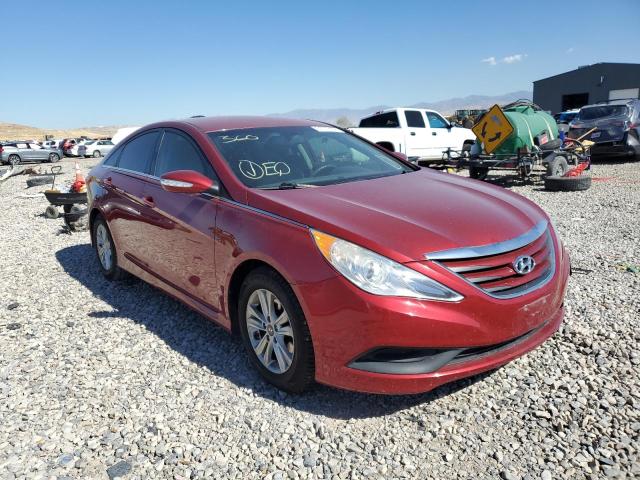 HYUNDAI SONATA GLS 2014 with VIN 5NPEB4AC5EH824988 - Photo from auction