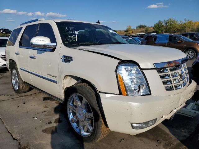CADILLAC ESCALADE P 2011 con VIN 1GYS4CEFXBR188613 - Foto de la subasta