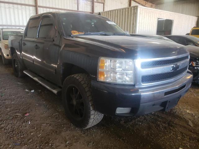 CHEVROLET SILVERADO 2009 with VIN 3GCEC23079G276107 - Photo from auction